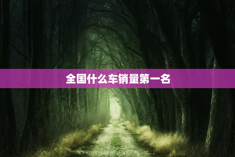 全国什么车销量第一名