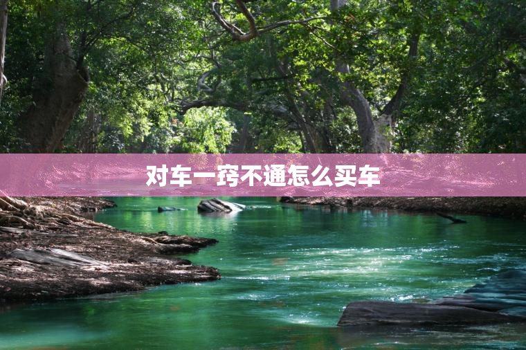 对车一窍不通怎么买车