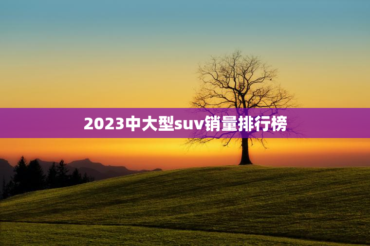 2023中大型suv销量排行榜