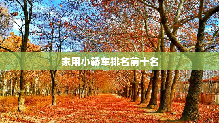 家用小轿车排名前十名