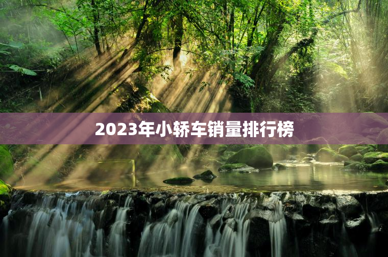 2023年小轿车销量排行榜