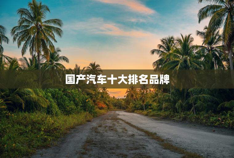 国产汽车十大排名品牌