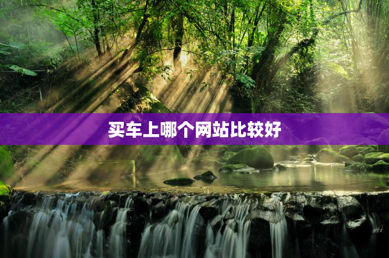 买车上哪个网站比较好