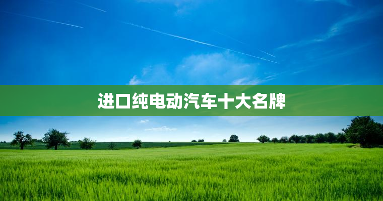 进口纯电动汽车十大名牌