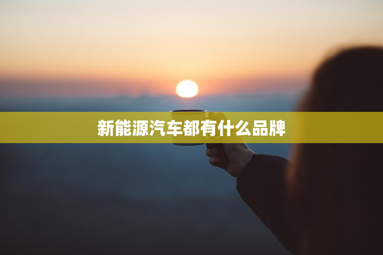 新能源汽车都有什么品牌