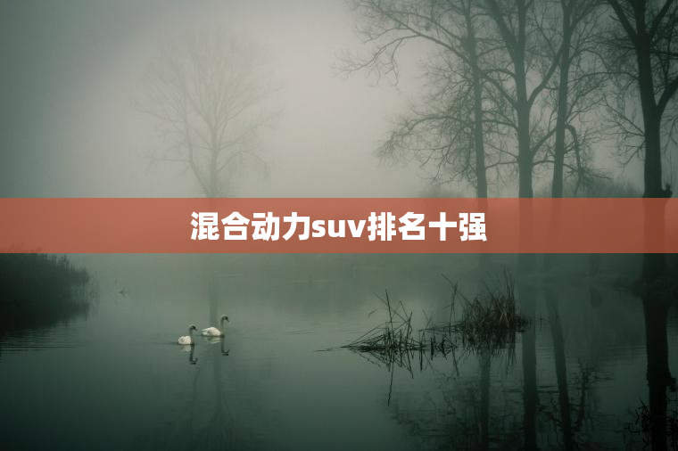 混合动力suv排名十强 混合动力suv排名十强