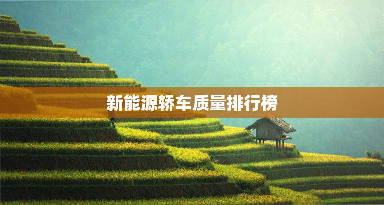 新能源轿车质量排行榜