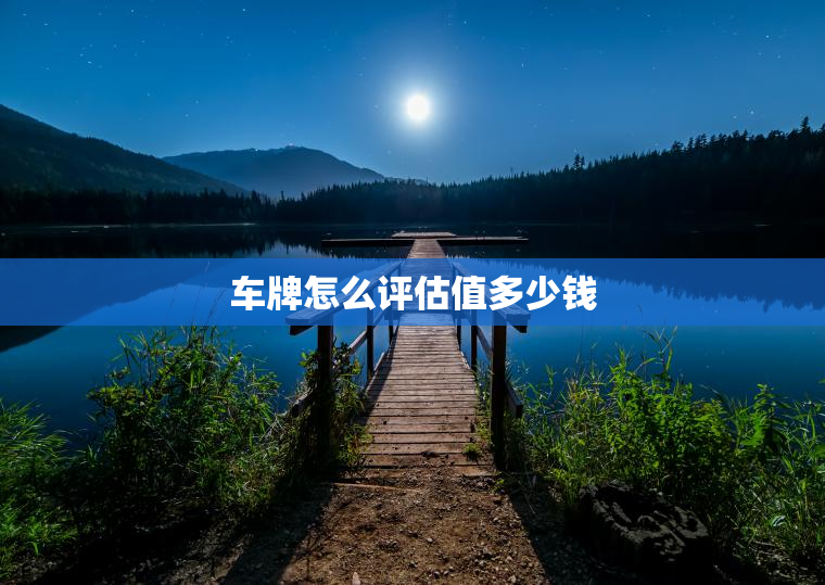 车牌怎么评估值多少钱