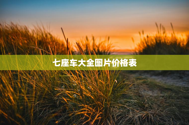七座车大全图片价格表 七座车大全图片价格表
