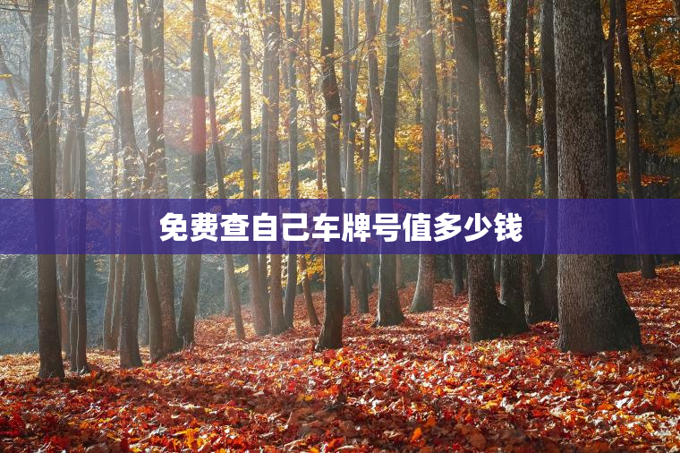 免费查自己车牌号值多少钱
