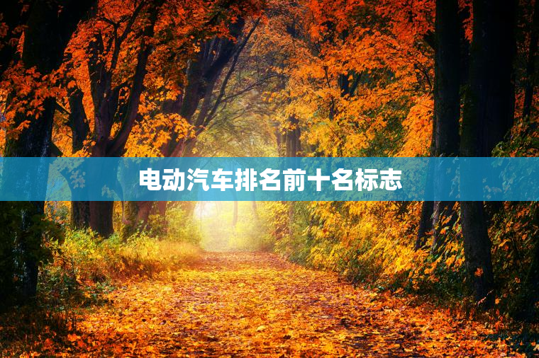 电动汽车排名前十名标志