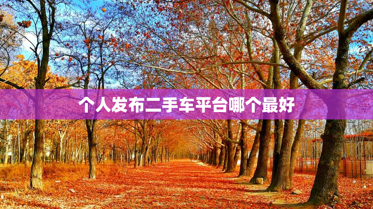 个人发布二手车平台哪个最好