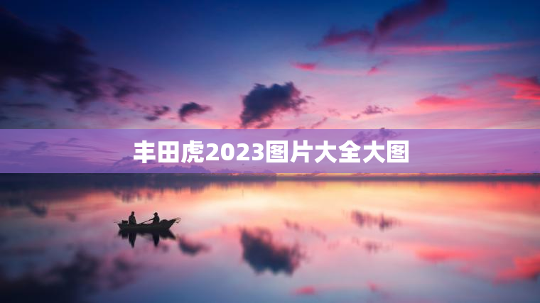 丰田虎2023图片大全大图