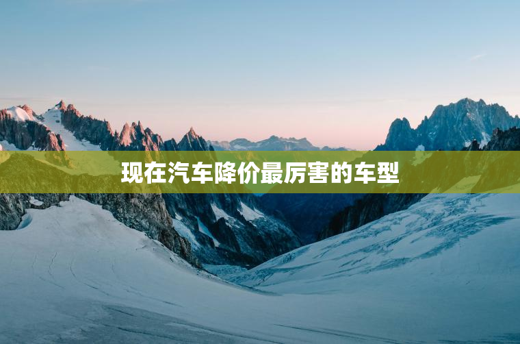 现在汽车降价最厉害的车型