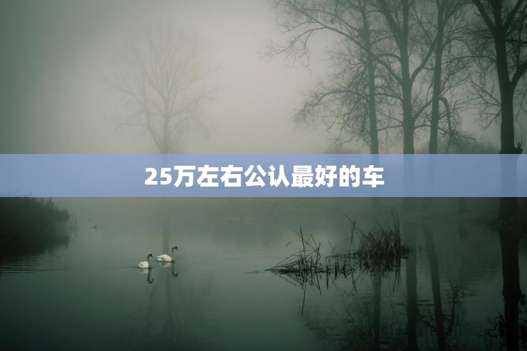 25万左右公认最好的车