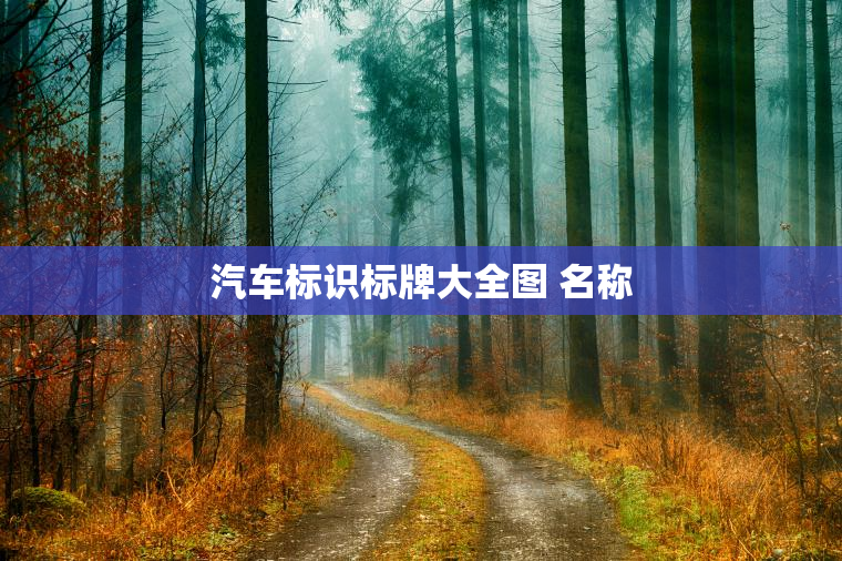 汽车标识标牌大全图 名称