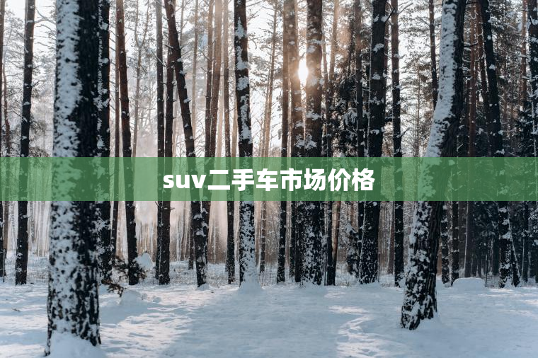 suv二手车市场价格 suv二手车市场价格
