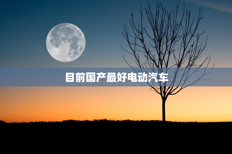 目前国产最好电动汽车