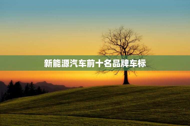 新能源汽车前十名品牌车标