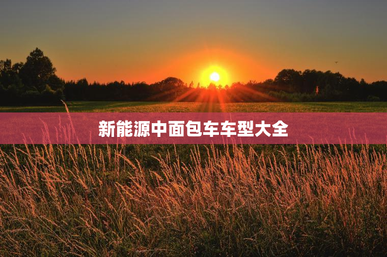 新能源中面包车车型大全