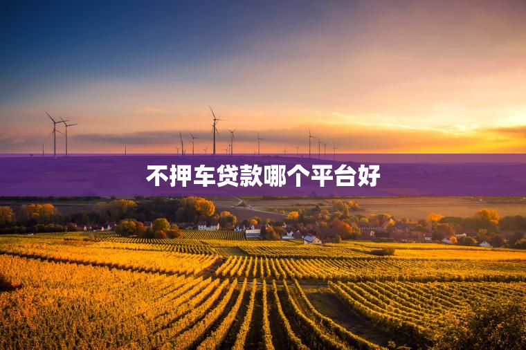 不押车贷款哪个平台好