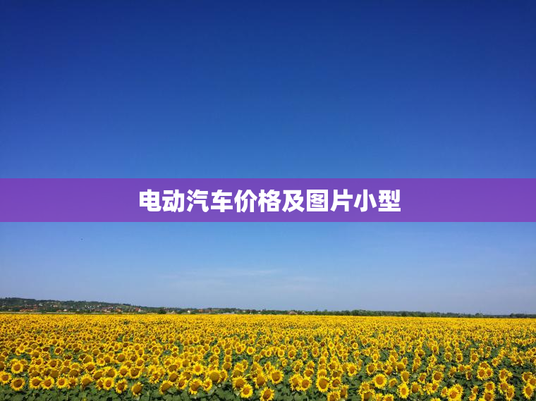 电动汽车价格及图片小型