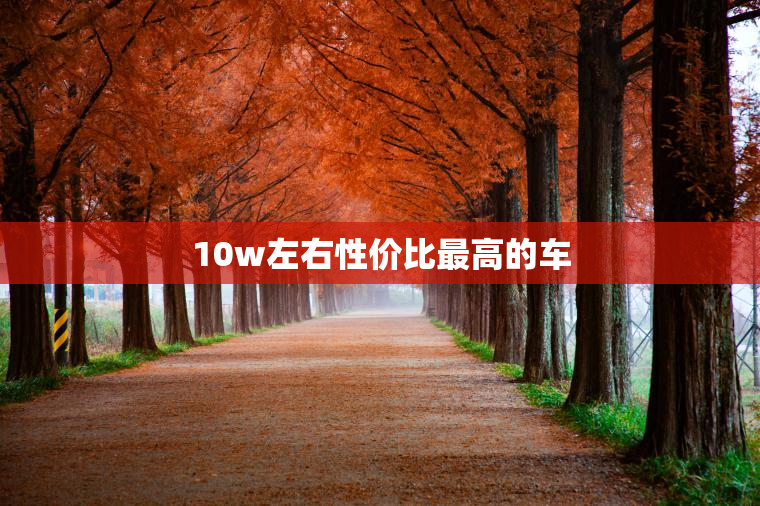 10w左右性价比最高的车