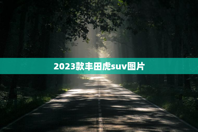 2023款丰田虎suv图片