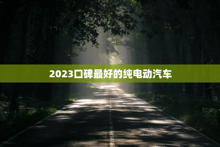 2023口碑最好的纯电动汽车
