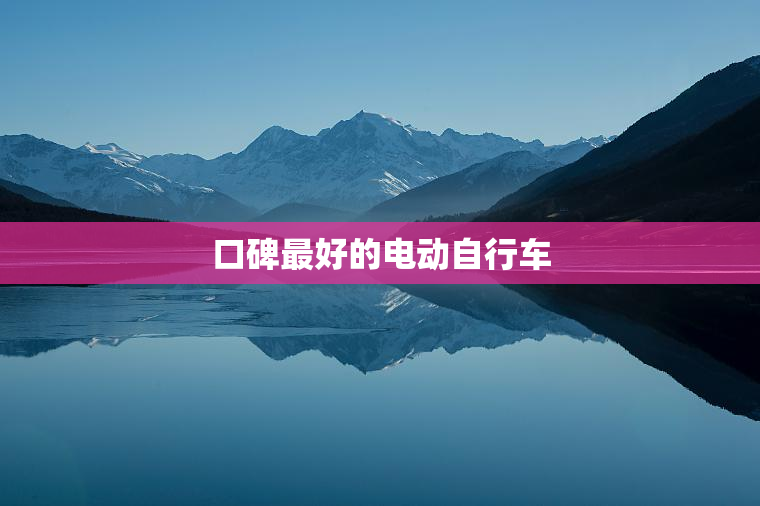 口碑最好的电动自行车