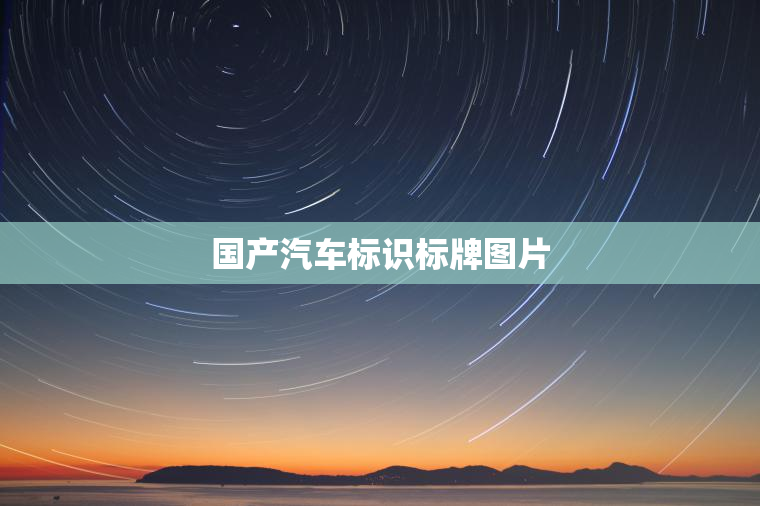 国产汽车标识标牌图片