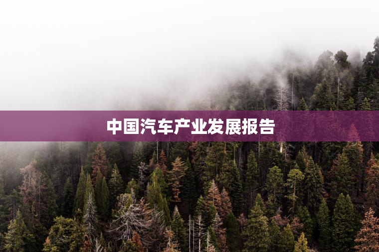 中国汽车产业发展报告