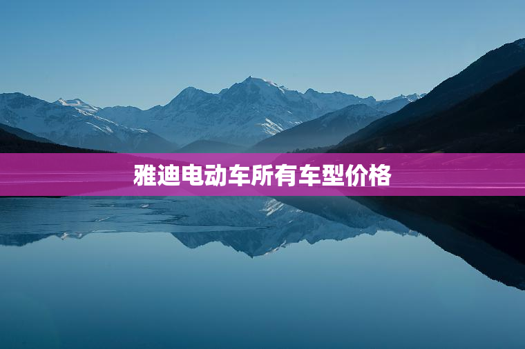 雅迪电动车所有车型价格