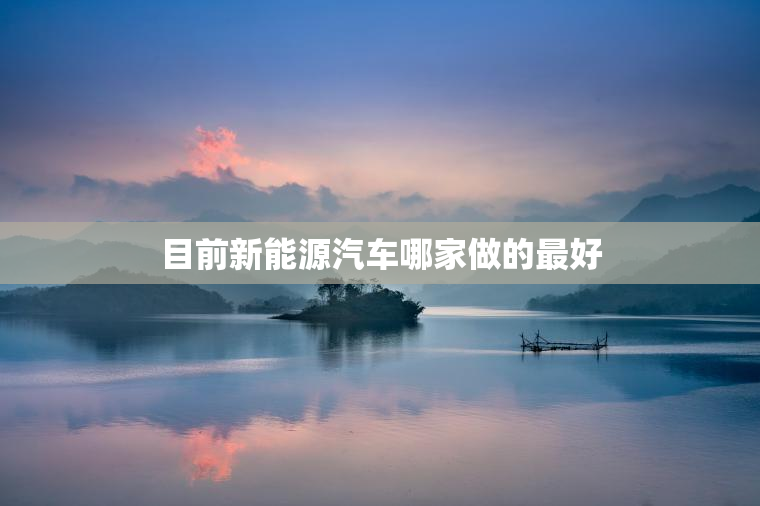 目前新能源汽车哪家做的最好