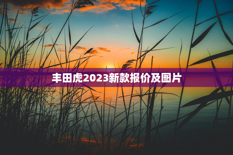 丰田虎2023新款报价及图片
