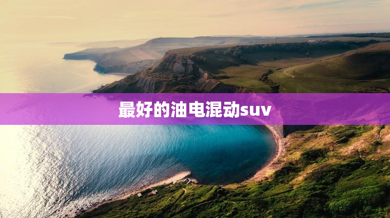 最好的油电混动suv 最好的油电混动suv