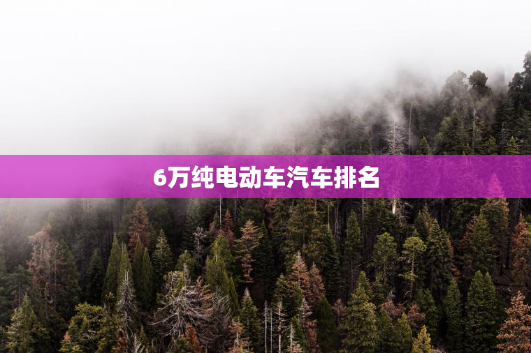 6万纯电动车汽车排名