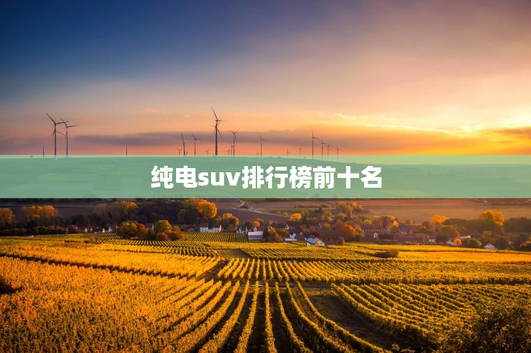 纯电suv排行榜前十名