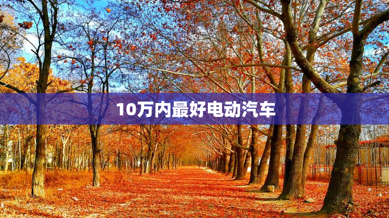 10万内最好电动汽车