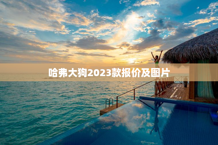 哈弗大狗2023款报价及图片
