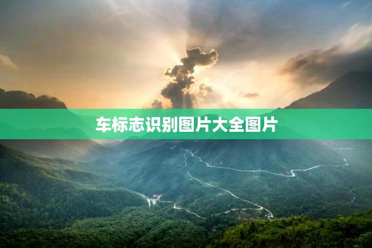 车标志识别图片大全图片