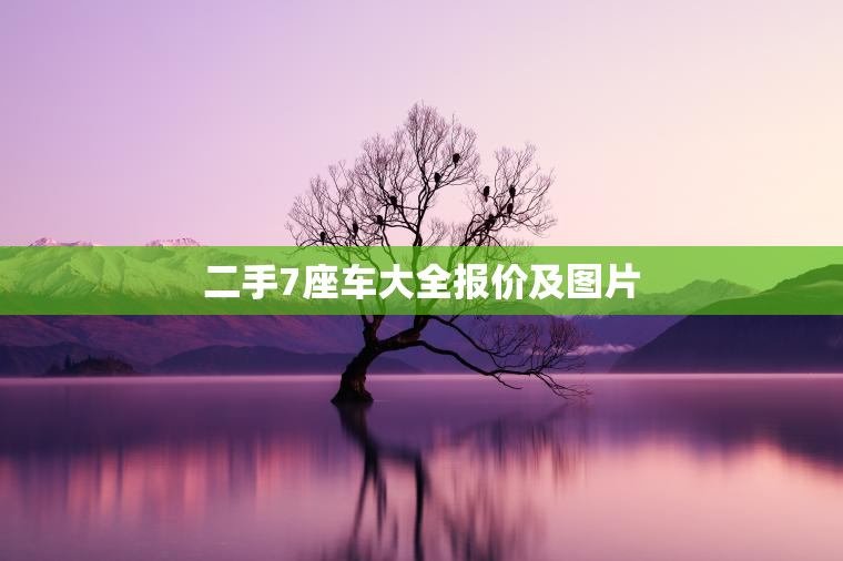 二手7座车大全报价及图片