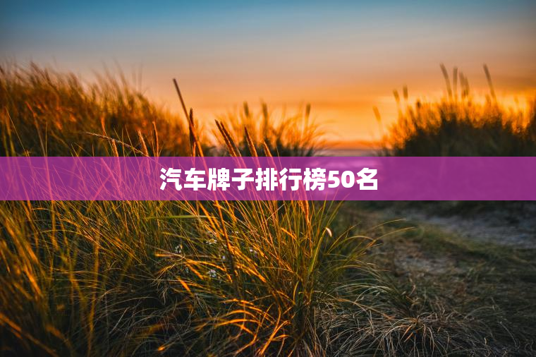 汽车牌子排行榜50名