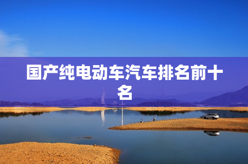 国产纯电动车汽车排名前十名