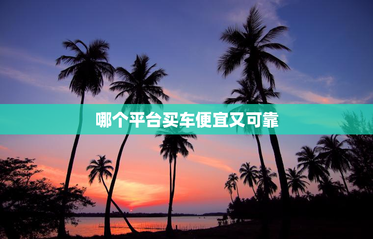 哪个平台买车便宜又可靠