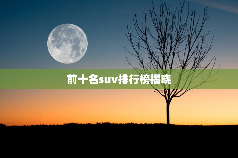 前十名suv排行榜揭晓