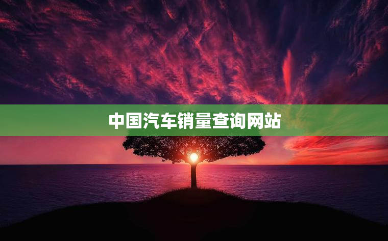 中国汽车销量查询网站
