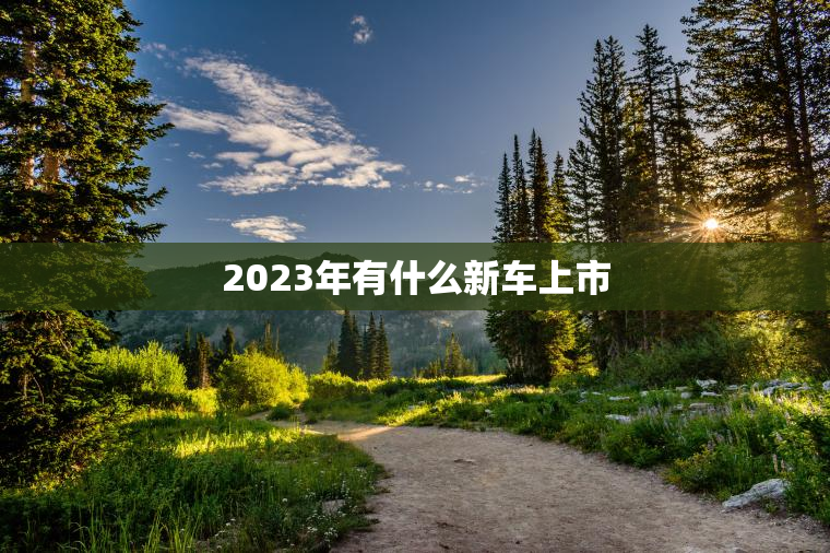 2023年有什么新车上市