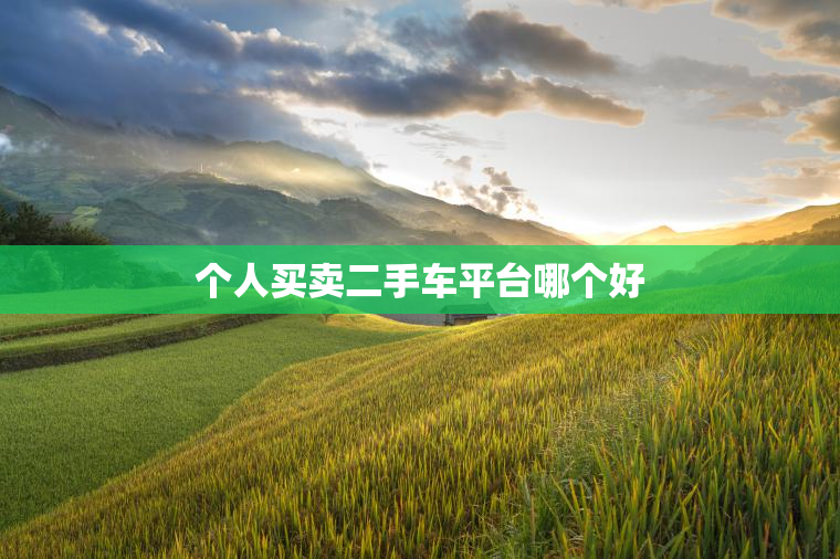 个人买卖二手车平台哪个好 个人买卖二手车平台哪个好