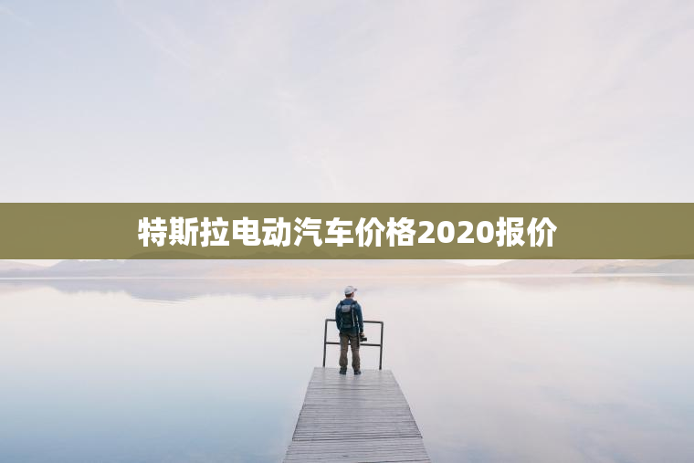 特斯拉电动汽车价格2023报价